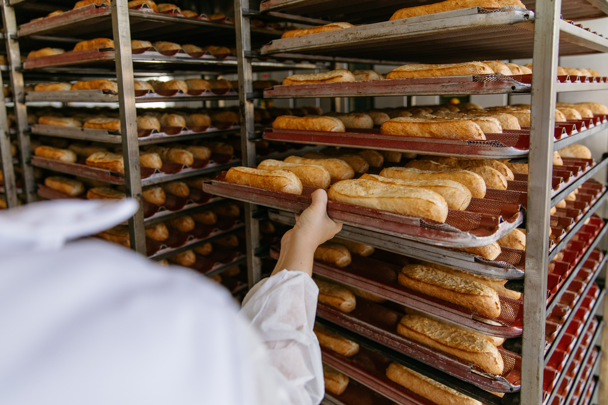 Arttpa VII EA 00005 - Pan sin gluten de alta calidad